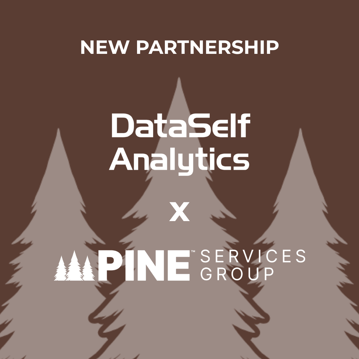 DataSelf x Pine